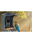 Suntek madár etető kamera