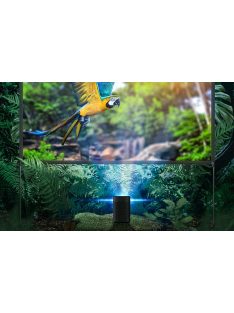 BlitzWolf BW-VS6 120" hordozható vetítővászon