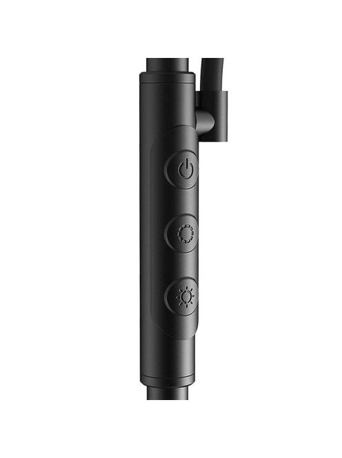 BlitzWill BWL-FL-0001 dupla állólámpa távirányítóval, 36W fekete