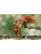 KJK FKPCAM fotócsapda, napelemmel FK-HC10