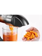 AMZCHEF GM3001-GN lassú sebességű gyümölcsprés zöld