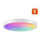 Gosund LB12 WiFi/Bluetooth intelligens mennyezeti lámpa, 1920lm, 30cm, 16M, Tuya + távirányító