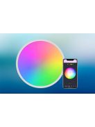 Gosund LB12 WiFi/Bluetooth intelligens mennyezeti lámpa, 1920lm, 30cm, 16M, Tuya + távirányító