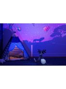 NiteBird LB4 Tuya csillagvetítő