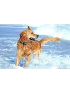 Rojeco PD521 1000m kutyakiképző nyakörv 2 nyakörvvel