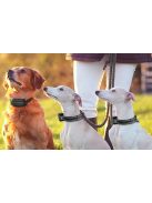 Rojeco PD521 1000m kutyakiképző nyakörv 2 nyakörvvel