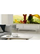 Havit PJ207 PRO vezeték nélküli projektor