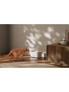 Petlibro Dockstream ivó