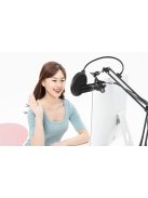 Puluz PU612B Studio Broadcast kondenzátor mikrofon