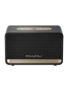 QCY SP300 vezeték nélküli hangszóró (fekete)