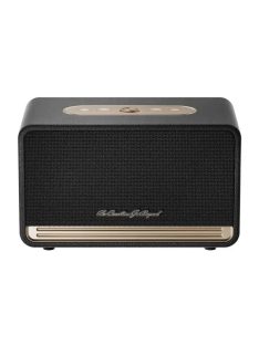 QCY SP300 vezeték nélküli hangszóró (fekete)