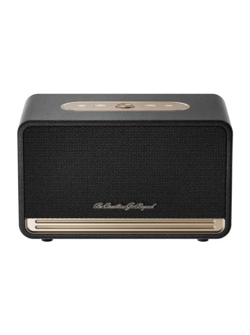 QCY SP300 vezeték nélküli hangszóró (fekete)