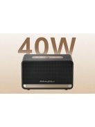 QCY SP300 vezeték nélküli hangszóró (fekete)