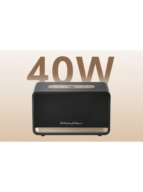 QCY SP300 vezeték nélküli hangszóró (fekete)