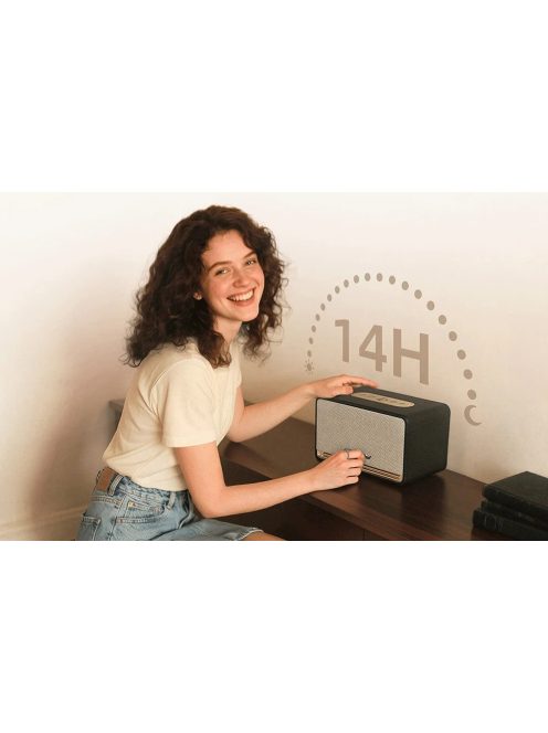 QCY SP300 vezeték nélküli hangszóró (fekete)