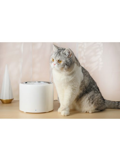 PetKit Eversweet Wireless SUS304 Itató kutyáknak és macskáknak